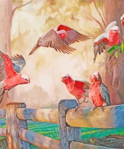 Galah Birds Gathering paint by numbers