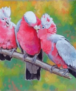 Galah Birds On Branch paint by numbers