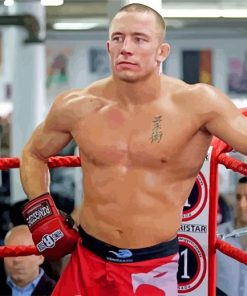 Georges St Pierre Fighter paint by numbers