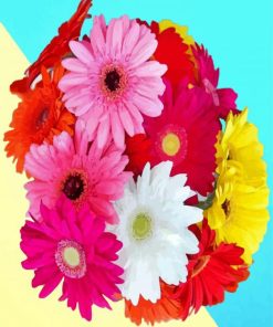 Colorful Gerberas Flowers paint by numbers