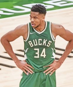 Giannis Antetokounmpo Basketball Player paint by numbers