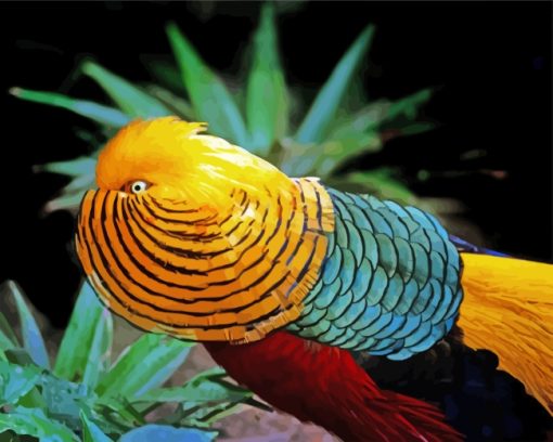 Colorful Golden Pheasant Bird paint by numbers