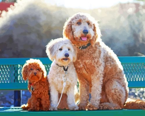 Goldendoodle Family paint by numbers