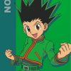 Gon Hunter X Hunter paint by numbers