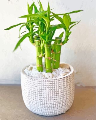 Green Bamboo Plants Pot paint by numbers