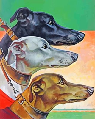 Greyhound Head Paint By Numbers