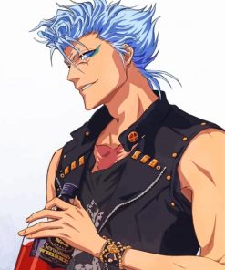 Grimmjow Jaegerjaquez paint by numbers