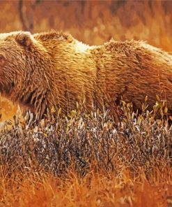 Brown Grizzly Bear paint by numbers