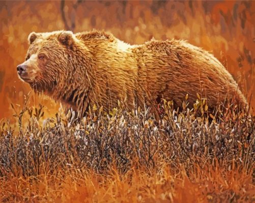 Brown Grizzly Bear paint by numbers