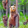 Female Grizzly And Her Babies paint by numbers