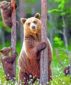 Female Grizzly And Her Babies paint by numbers