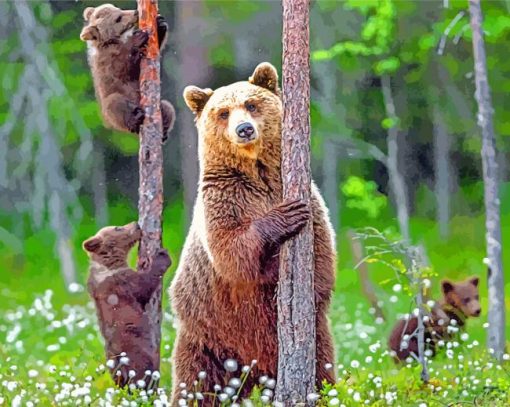 Female Grizzly And Her Babies paint by numbers