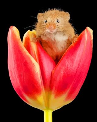 Hamster On Flower paint by numbers