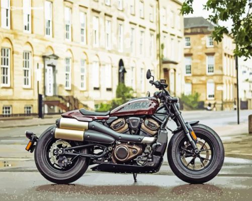 Harley Davidson Sportster paint by numbers