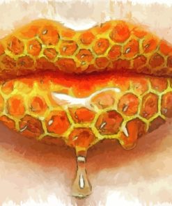 Honey Lips paint by numbers