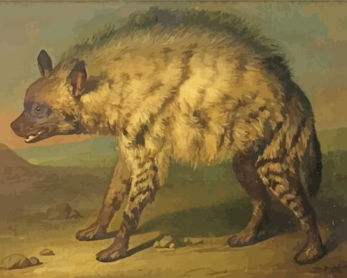 Hyena Animal Art paint by numbers