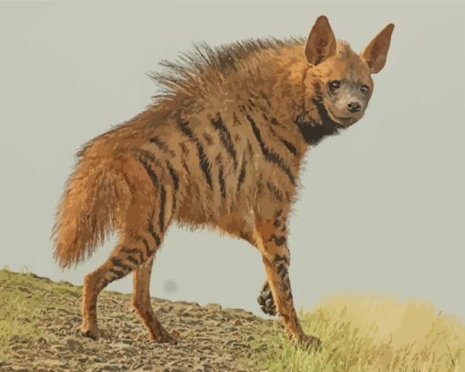 The Wild Animal Hyena paint by numbers