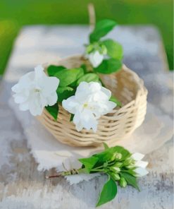 Jasmine Flowers Basket paint by numbers