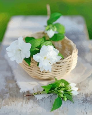 Jasmine Flowers Basket paint by numbers