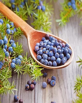 Juniper Berries paint by nu