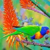 Adorable Lorikeet Bird paint by numbers