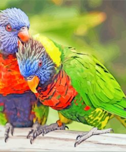 Rainbow Lorikeet Birds paint by numbers