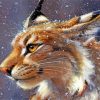 Lynx Wild Cat paint by numbers