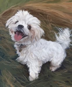 Maltese Dog Art paint by numbers