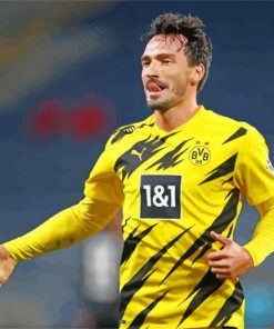 The Footballer Mats Hummels paint by numbers