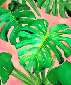 Monstera Plant Leaves paint by numbers