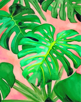 Monstera Plant Leaves paint by numbers