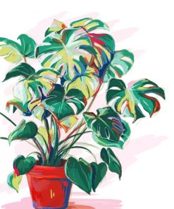 Aesthetic Monstera Plant Pot paint byb numbers