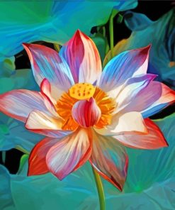 Mystical Lotus Flower paint by numbers