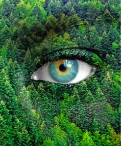 Nature Green Eye paint by numbers