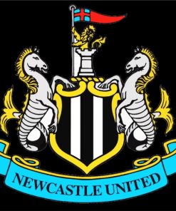 Newcastle United Logo Club paint by numbers