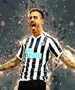 Newcastle United Footballer paint by numbers