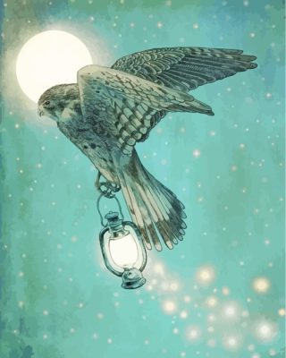 Nighthawk Holding Lantern paint by numbers