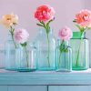 Peonies In Glass Bottles paint by number