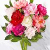 Beautiful Peonies Bouquet paint by numbers