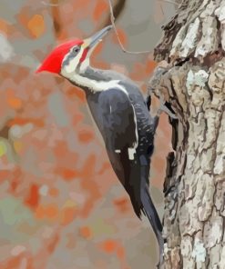 Pileated woodpecker Bird paint by numbers