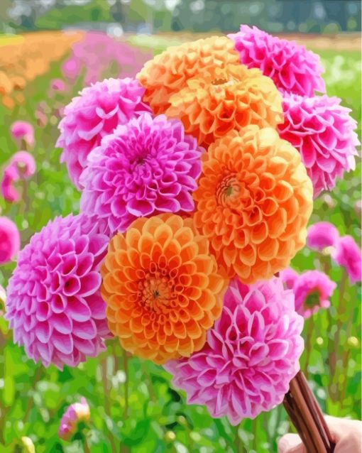 Pink And Orange Dahlia paint by numbers
