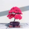 Bonsai Tree With Pink Leaves paint by numbers