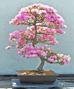 Pink Bonsai Tree paint by numbers