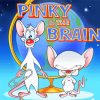 Pinky And Brain Disney paint by numbers