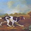 Pointer Dog Animal paint by numbers