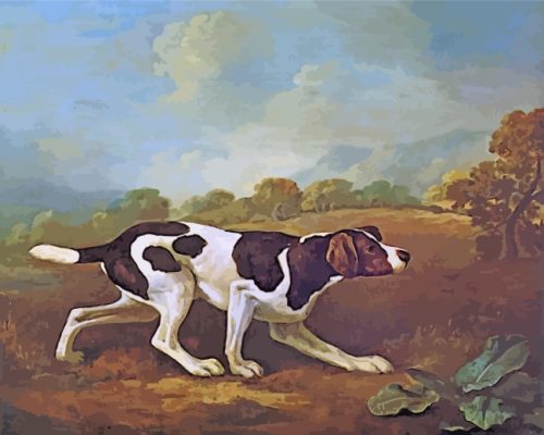 Pointer Dog Animal paint by numbers