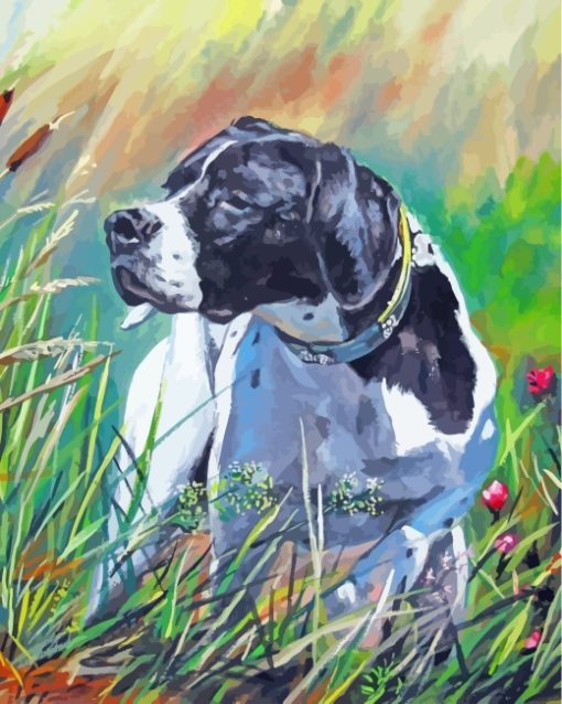 Pointer Dog Art paint by numbers