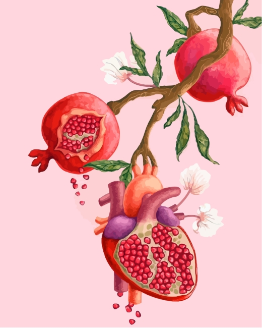 Aesthetic Pomegranate Art paint by numbers