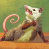 Possum Animal Art paint by numbers