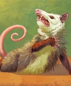 Possum Animal Art paint by numbers